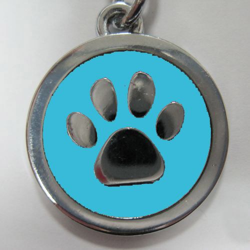 金屬-藍色狗掌形狀寵物牌